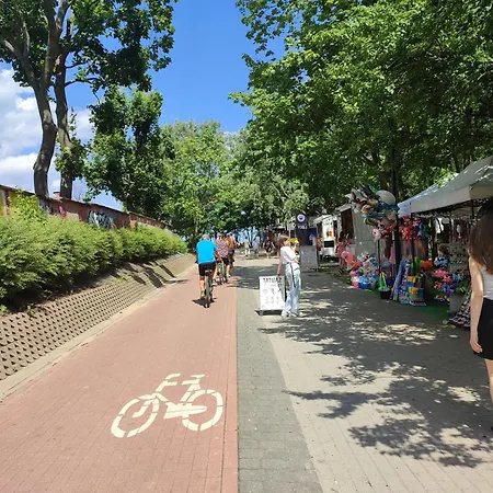 公寓 Mieszkanie Plaza 格但斯克